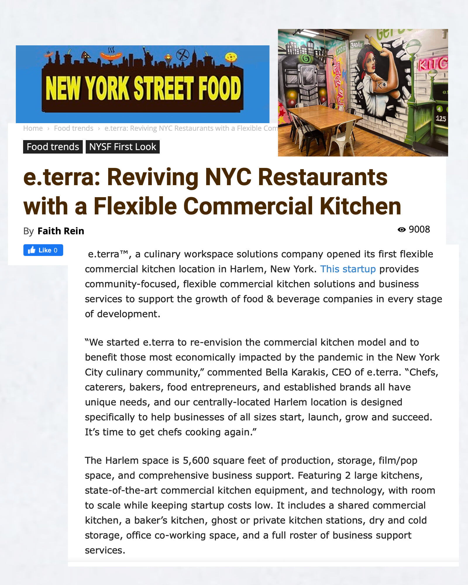 Press screen shot about e.terra from NY Street Food